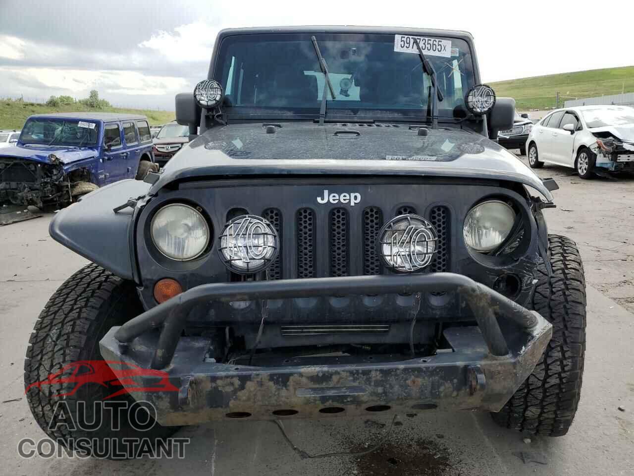 JEEP WRANGLER 2011 - 1J4AA2D19BL614976