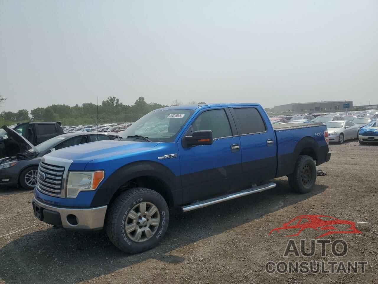 FORD F-150 2010 - 1FTFW1EV5AFC24964