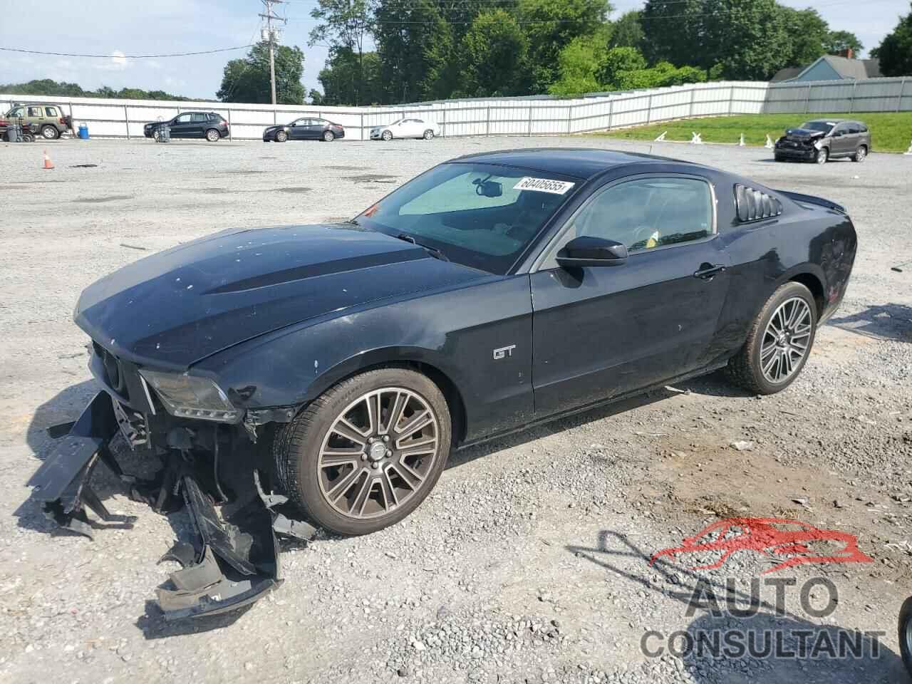 FORD MUSTANG 2010 - 1ZVBP8CHXA5132950