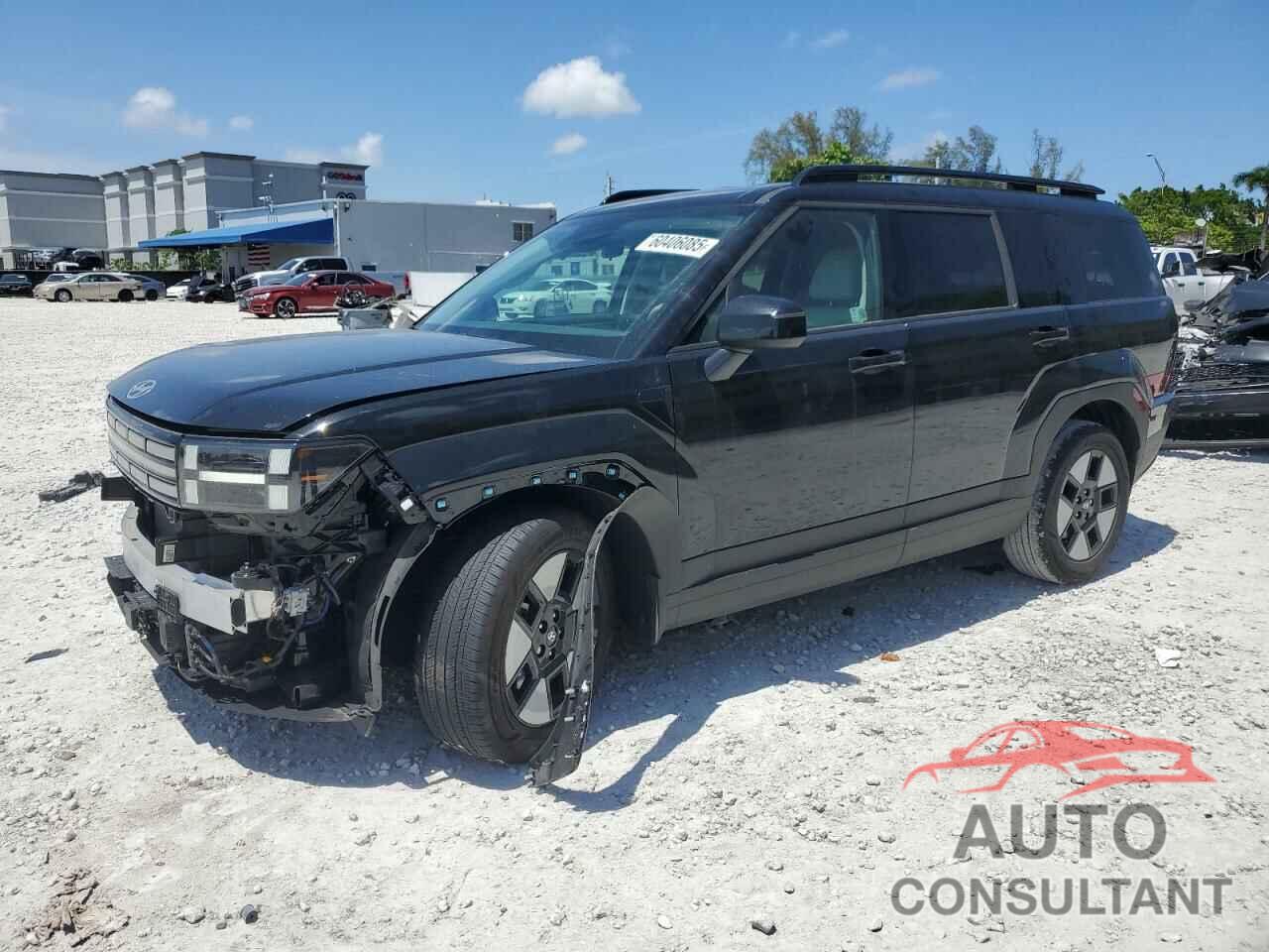 HYUNDAI SANTA FE 2024 - 5NMP24G10RH013679