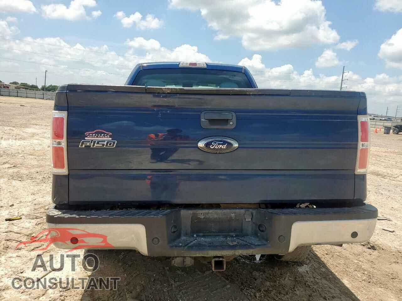 FORD F-150 2014 - 1FTFX1ET9EFA40550