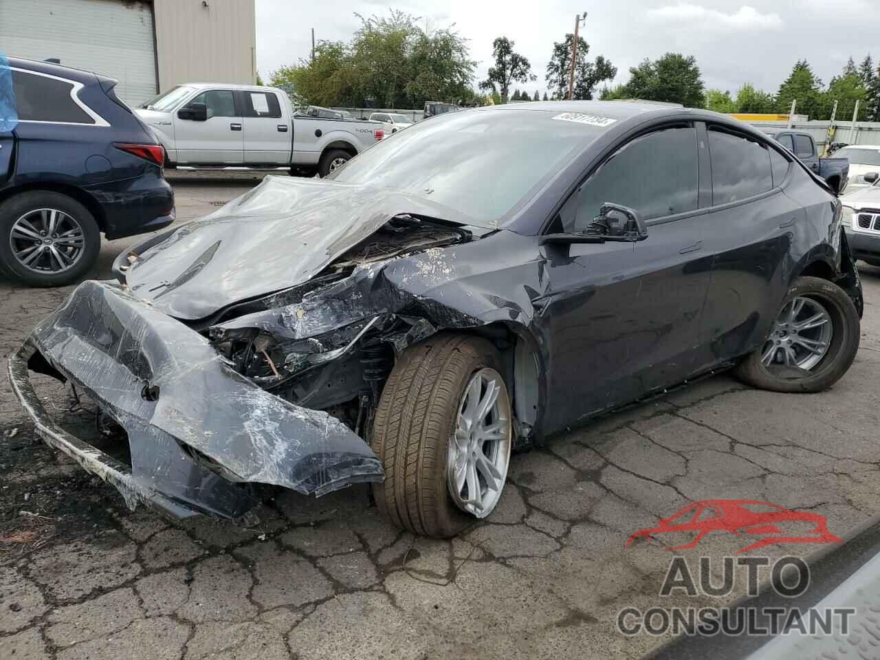 TESLA MODEL Y 2024 - 7SAYGDEE8RF083009