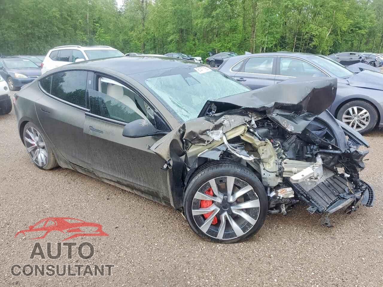 TESLA MODEL 3 2024 - LRW3E7EB6RC093617