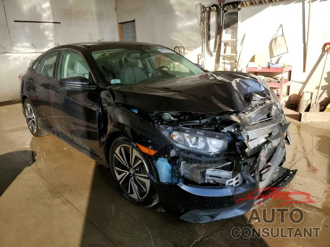 HONDA CIVIC 2017 - 2HGFC1F77HH646432