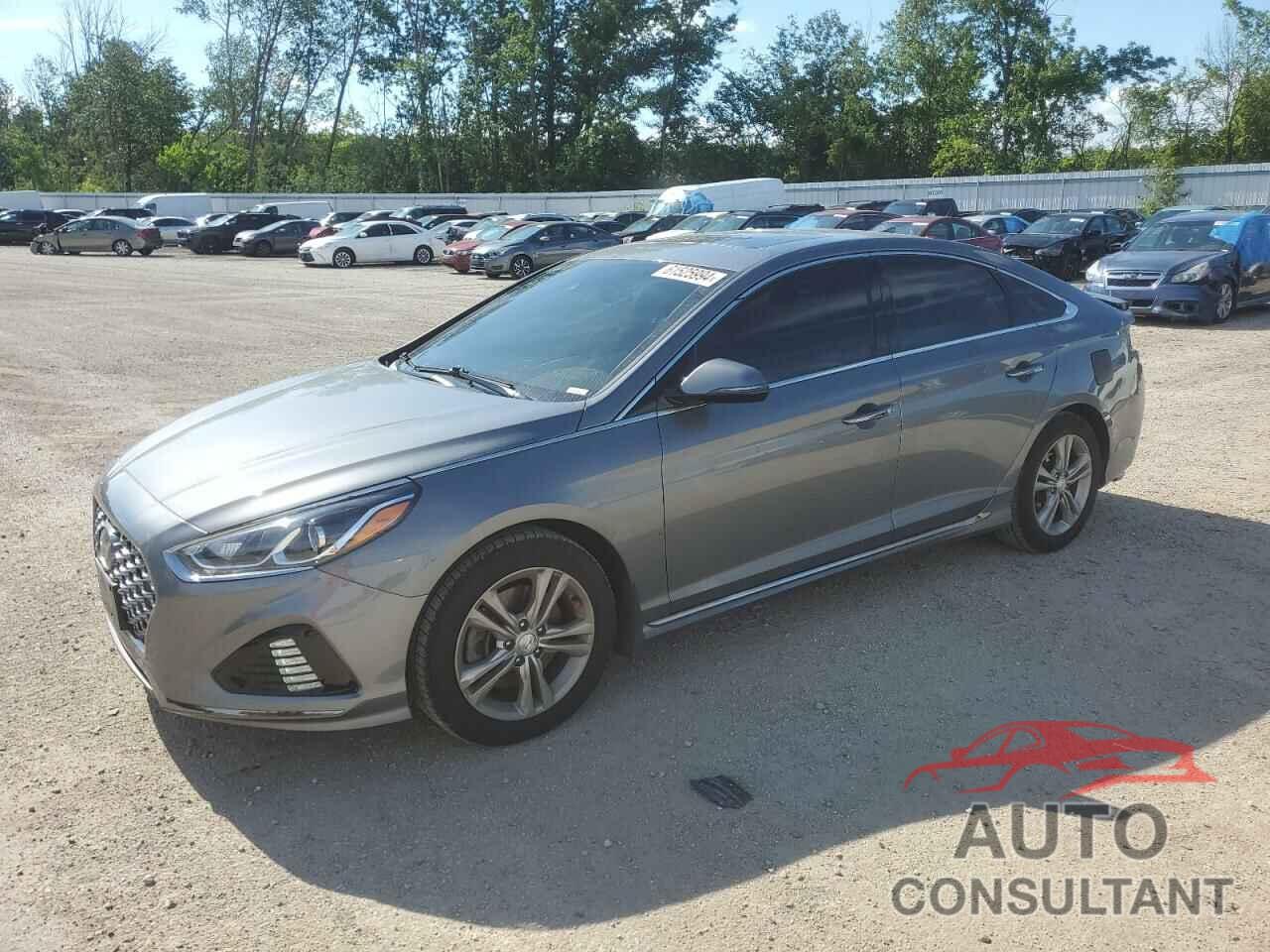 HYUNDAI SONATA 2019 - 5NPE34AF3KH790374