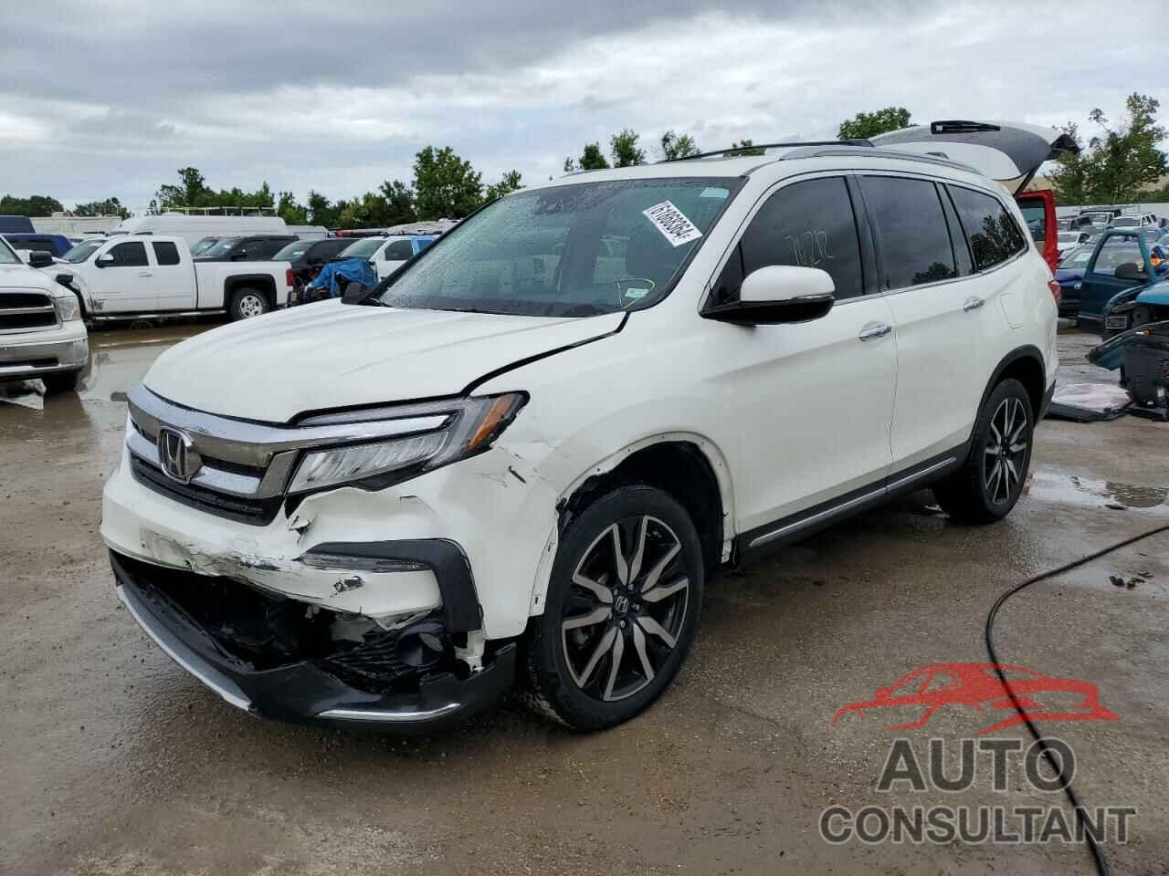 HONDA PILOT 2019 - 5FNYF6H69KB027473