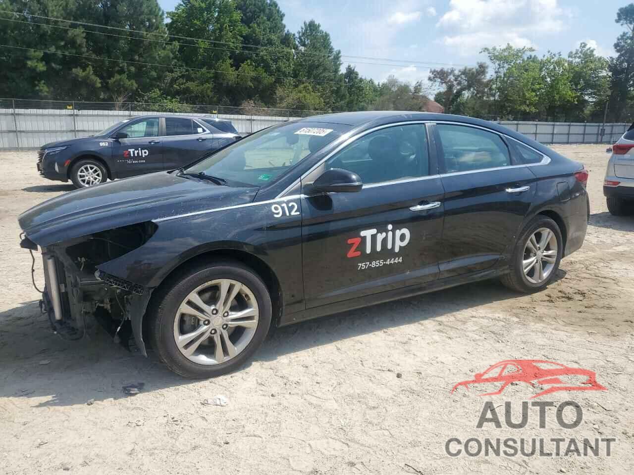 HYUNDAI SONATA 2019 - 5NPE34AF7KH764506