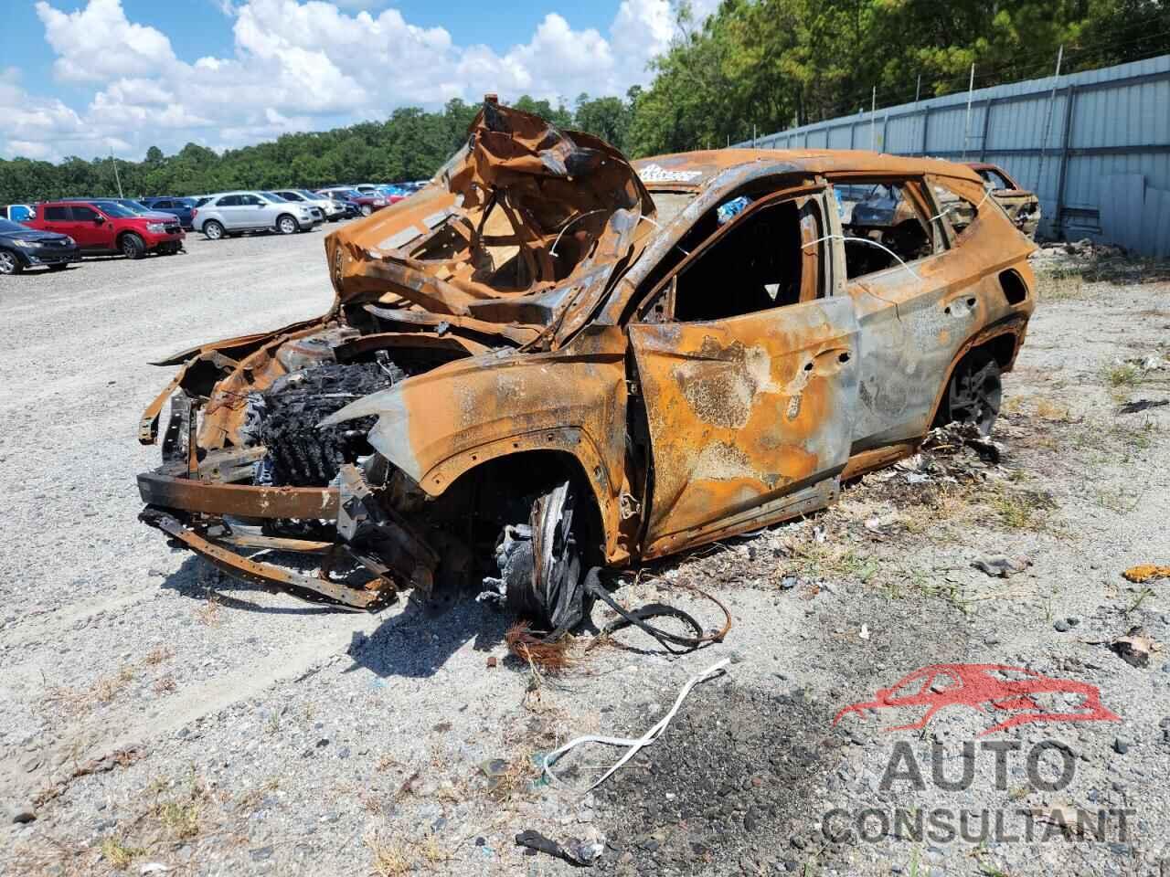 HYUNDAI TUCSON 2024 - 5NMJB3DE1RH408316