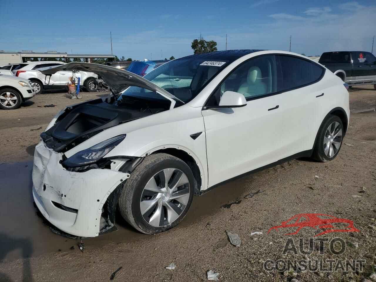 TESLA MODEL Y 2021 - 5YJYGDEE1MF195463