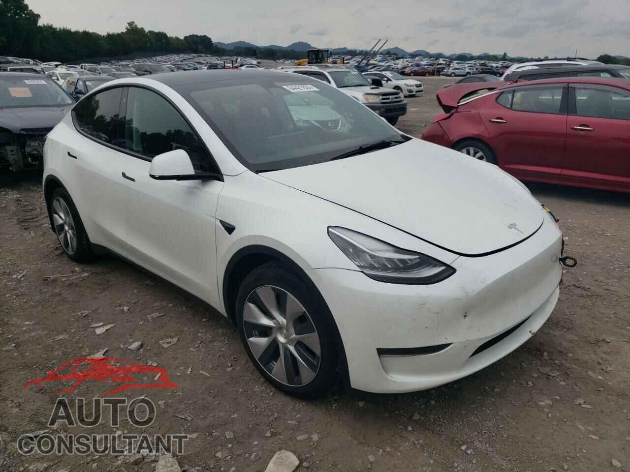 TESLA MODEL Y 2022 - 7SAYGDEE0NF313944