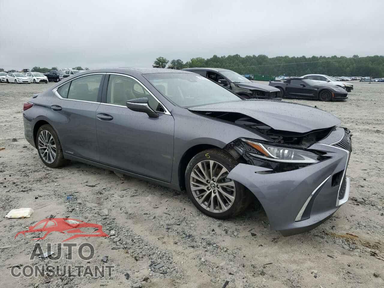 LEXUS ES300 2019 - JTHB21B1XK2006117
