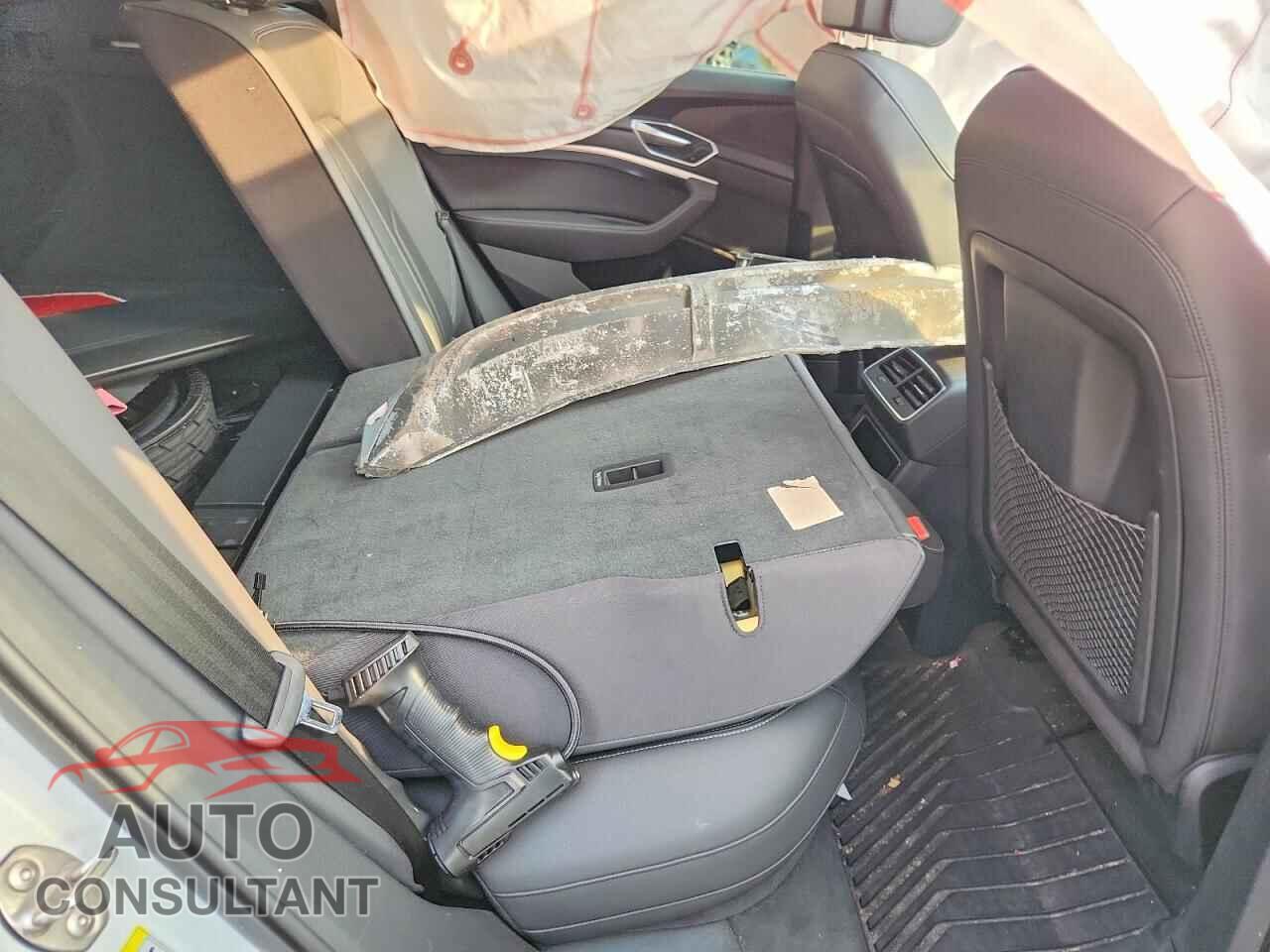 AUDI E-TRON 2019 - WA1LAAGE3KB022609