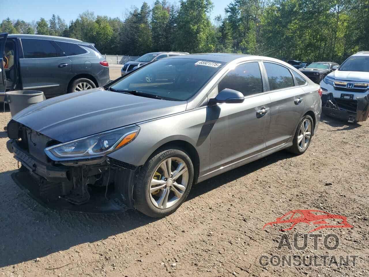 HYUNDAI SONATA 2019 - 5NPE34AF9KH763065