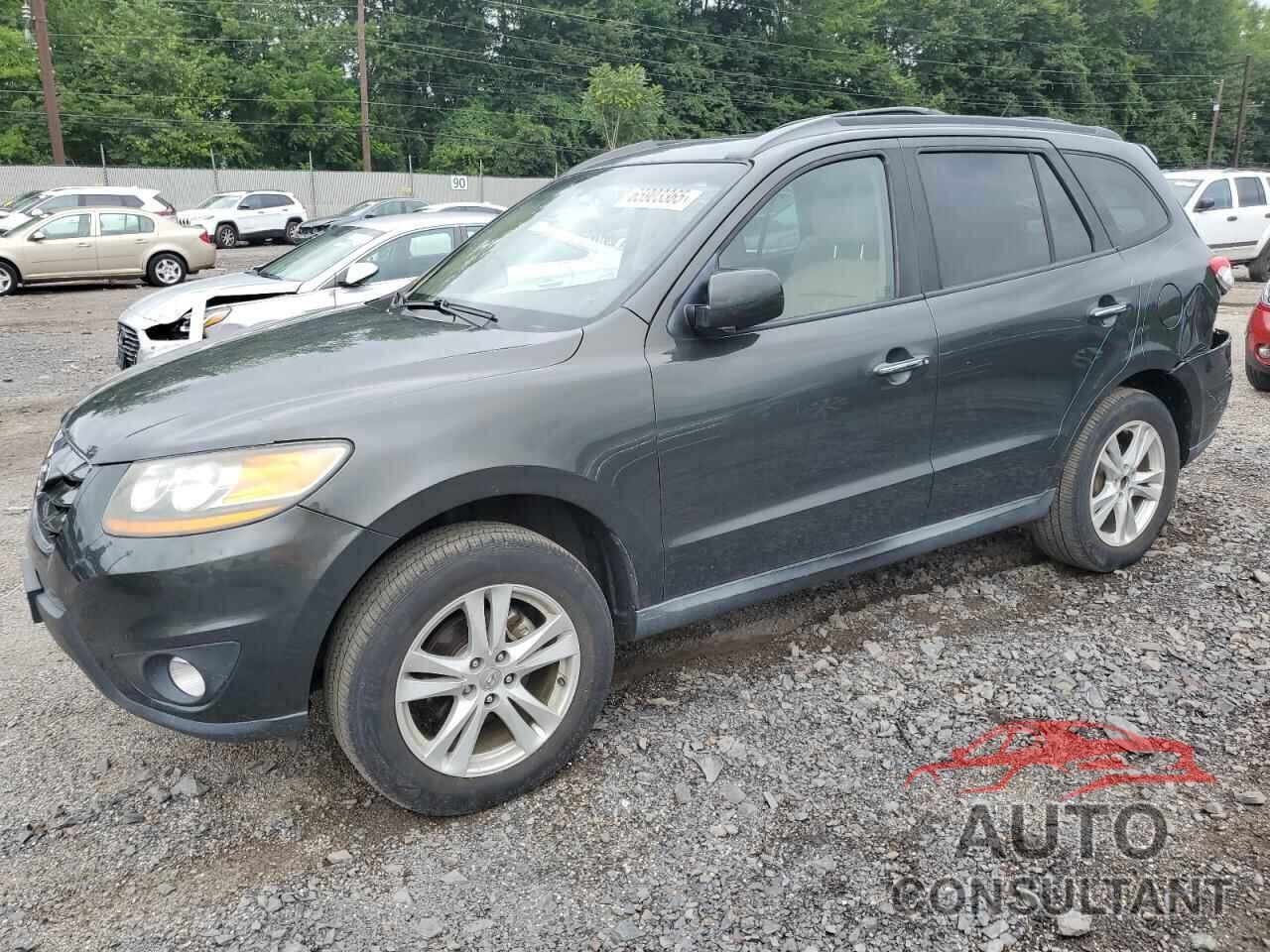 HYUNDAI SANTA FE 2011 - 5XYZK4AGXBG072177