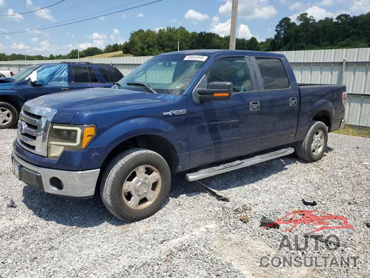 FORD F150 2011 - 1FTEW1CM8BFA32882