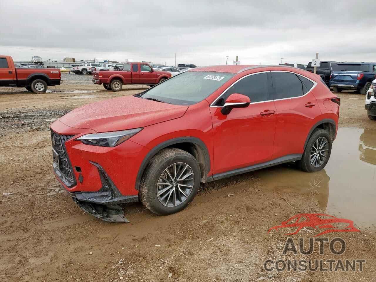 LEXUS NX 250 BAS 2024 - 2T2ADCAZ0RC007052