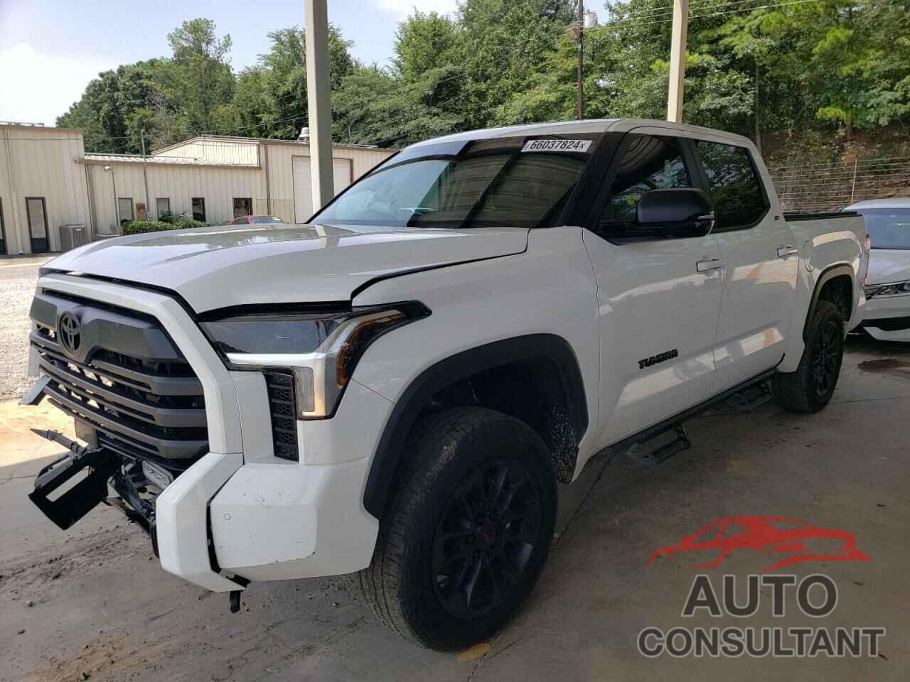 TOYOTA TUNDRA 2024 - 5TFLA5AB7RX032715