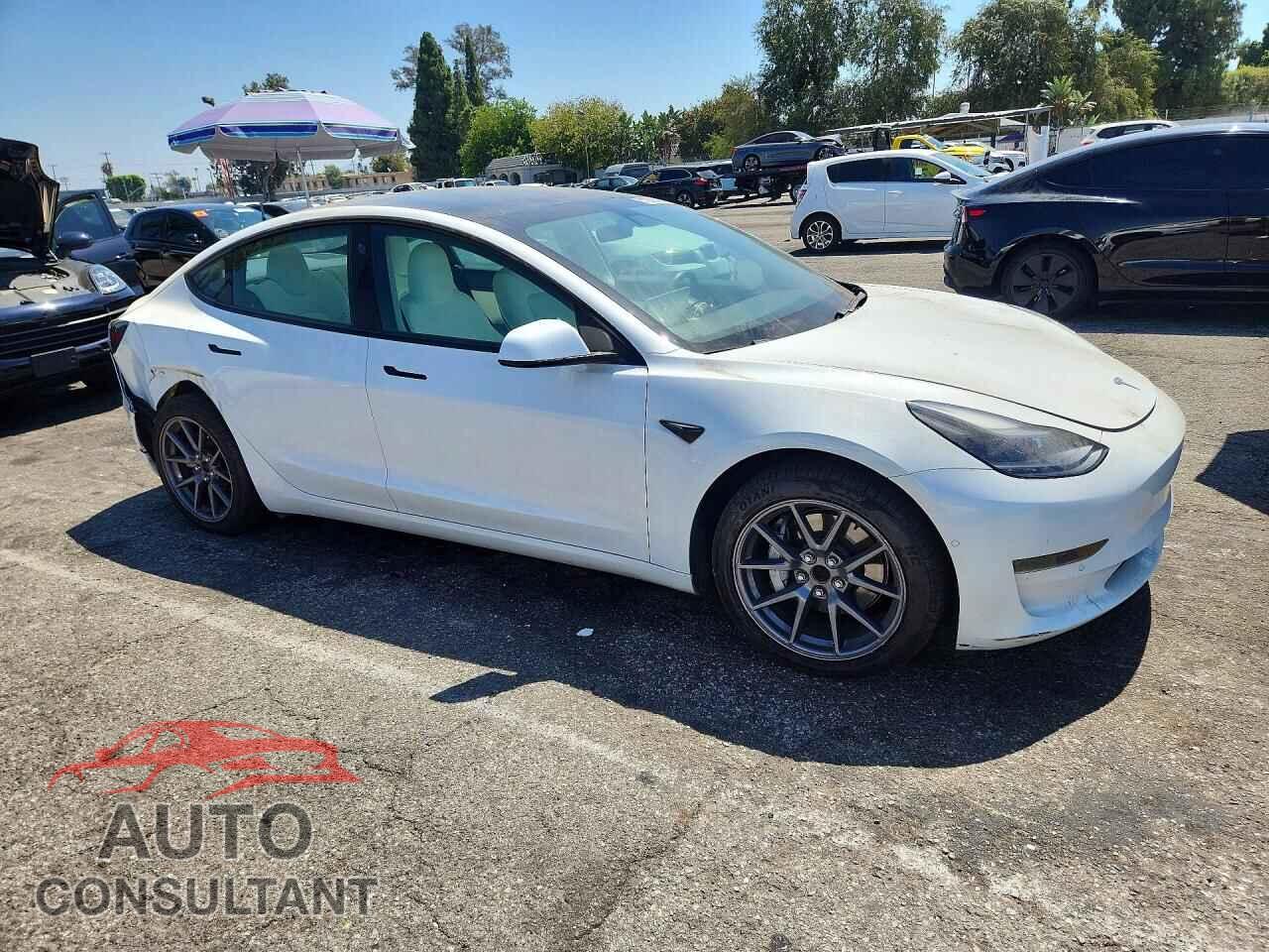 TESLA MODEL 3 2021 - 5YJ3E1EA6MF873393