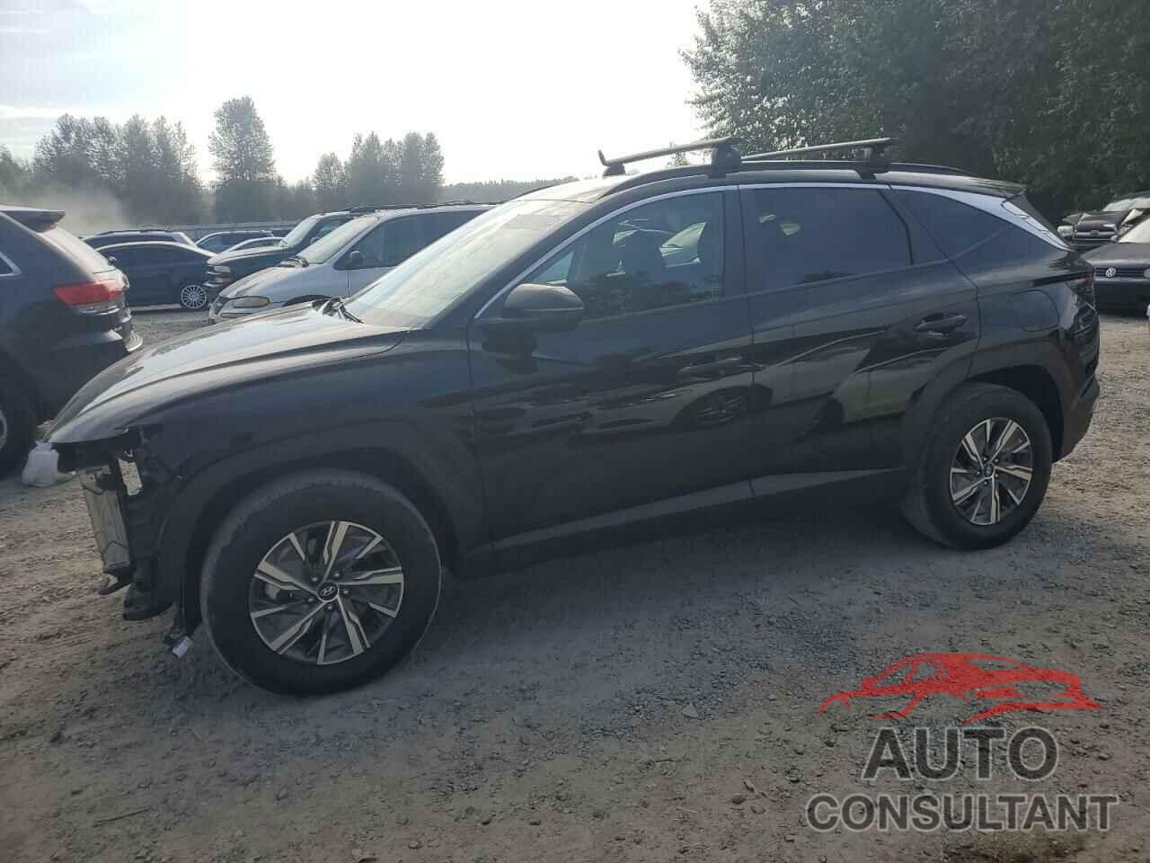 HYUNDAI TUCSON 2022 - KM8JBCA14NU061502