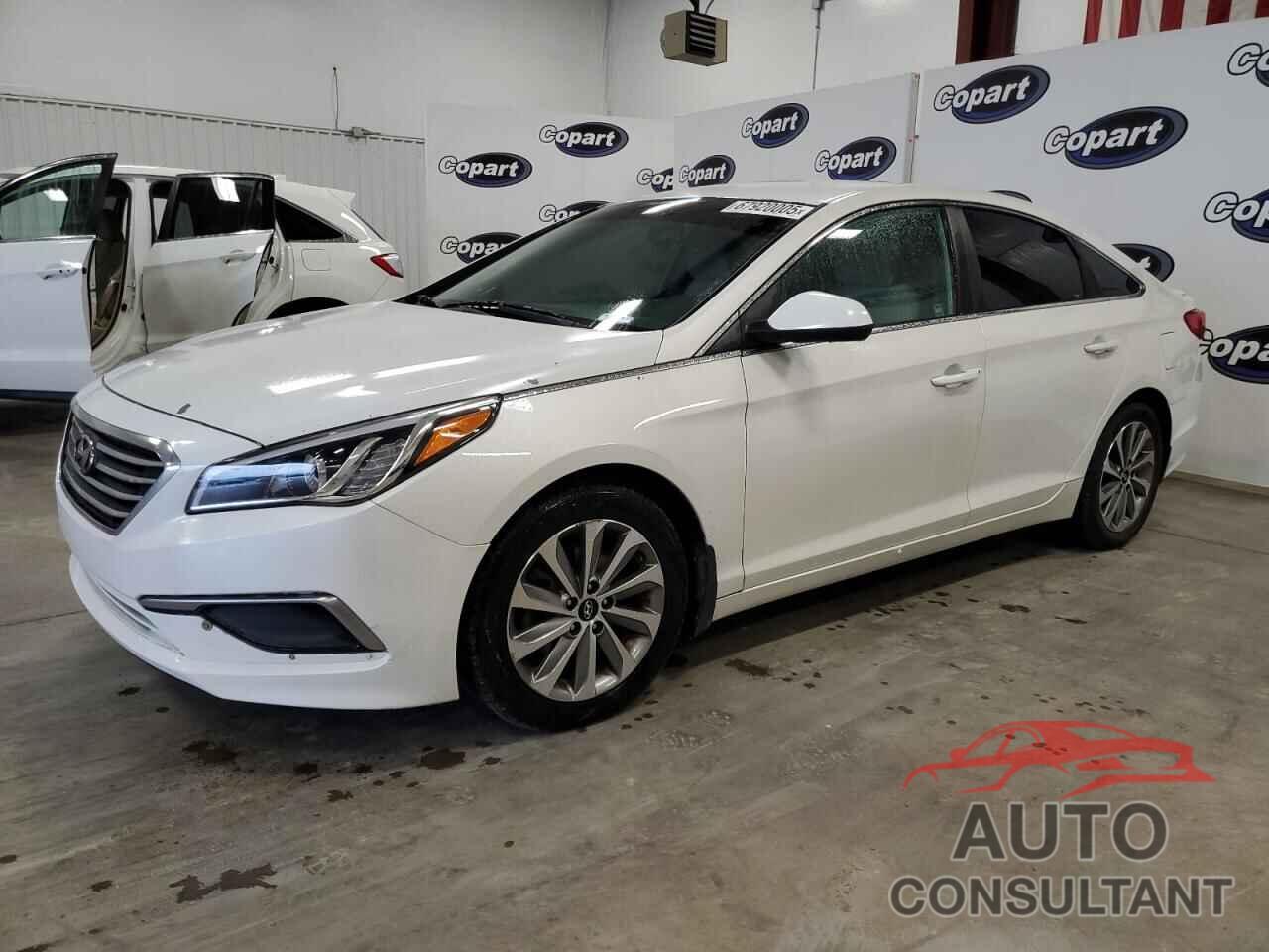 HYUNDAI SONATA 2017 - 5NPE24AFXHH458461