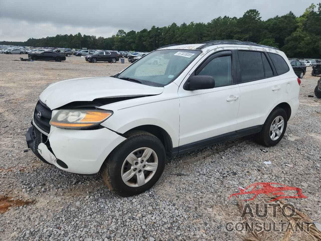 HYUNDAI SANTA FE 2009 - 5NMSG13D09H271775