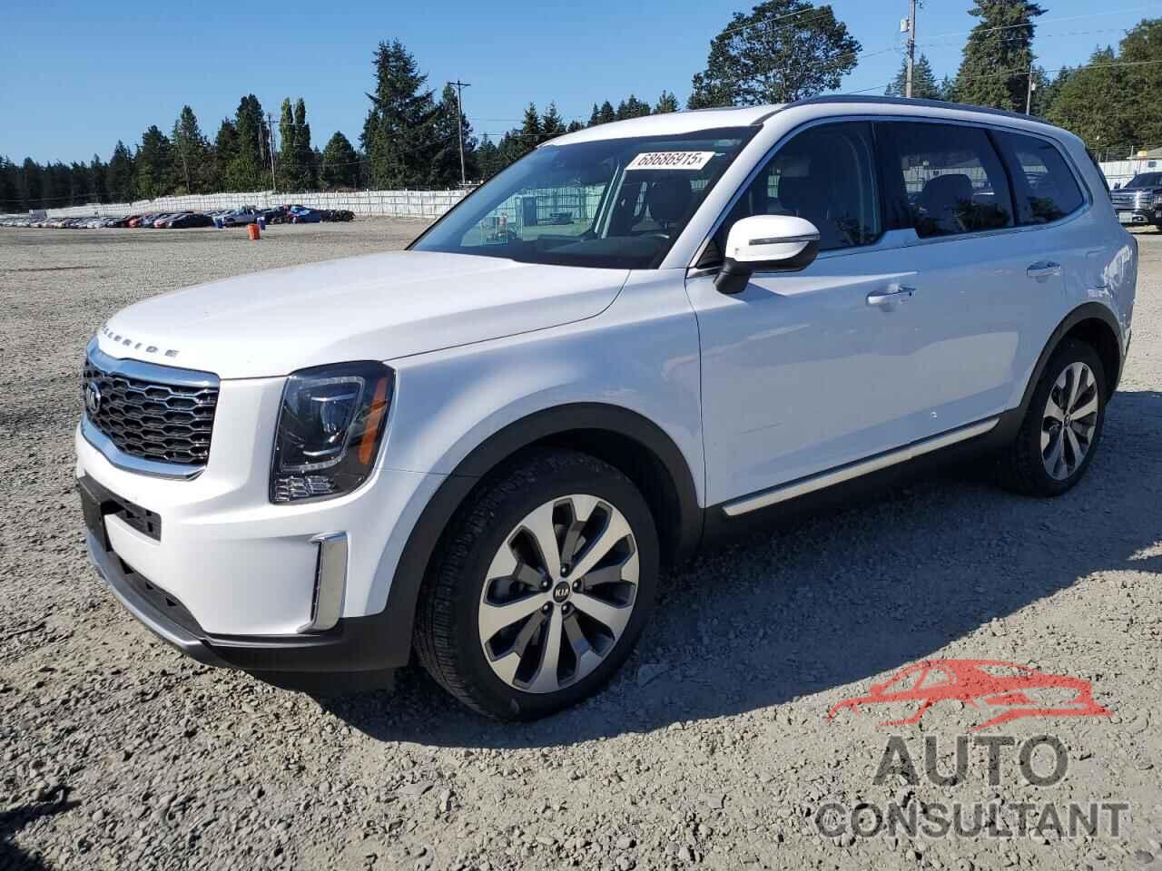 KIA TELLURIDE 2021 - 5XYP6DHC2MG158830