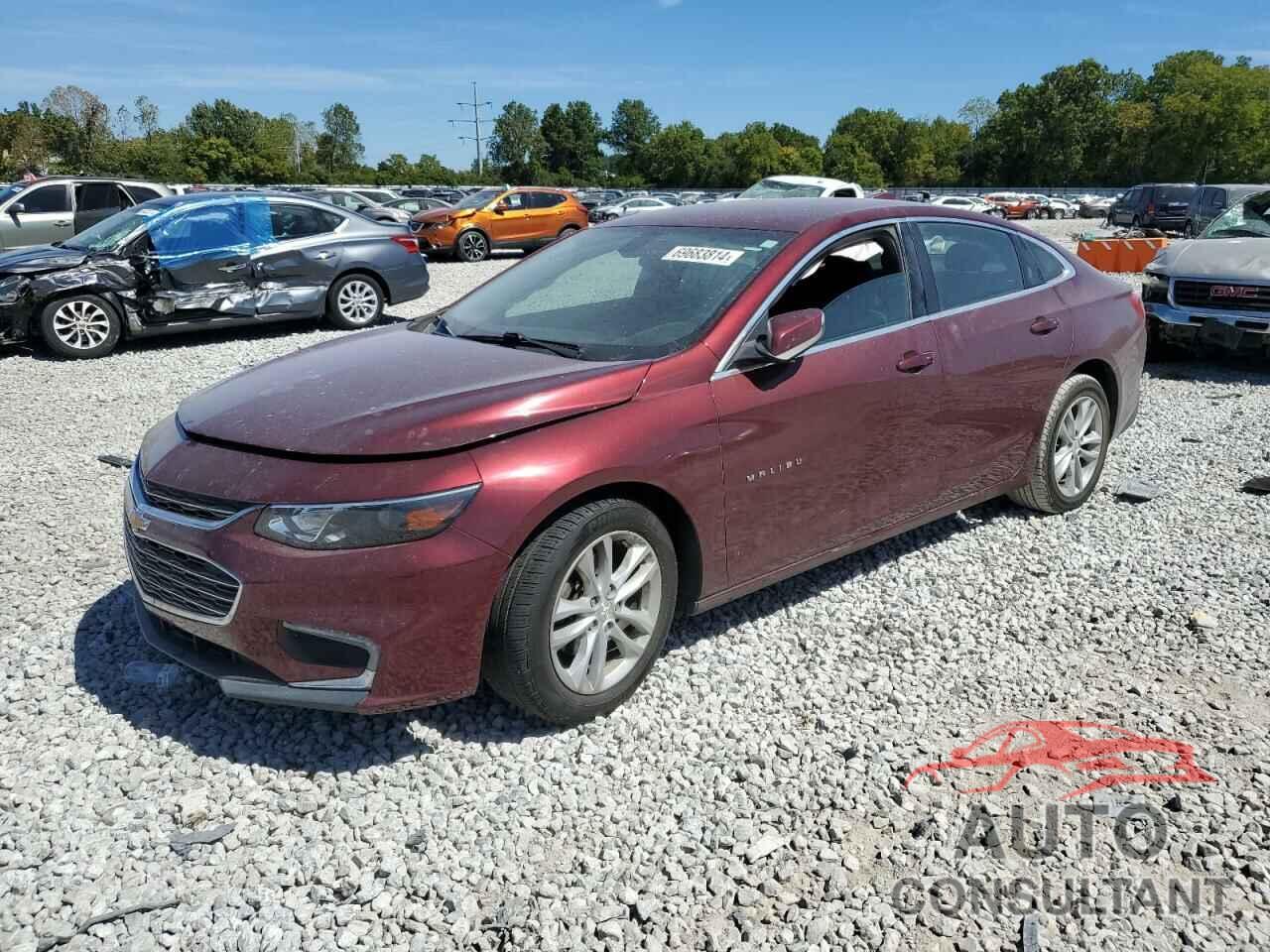 CHEVROLET MALIBU 2016 - 1G1ZE5ST9GF293507