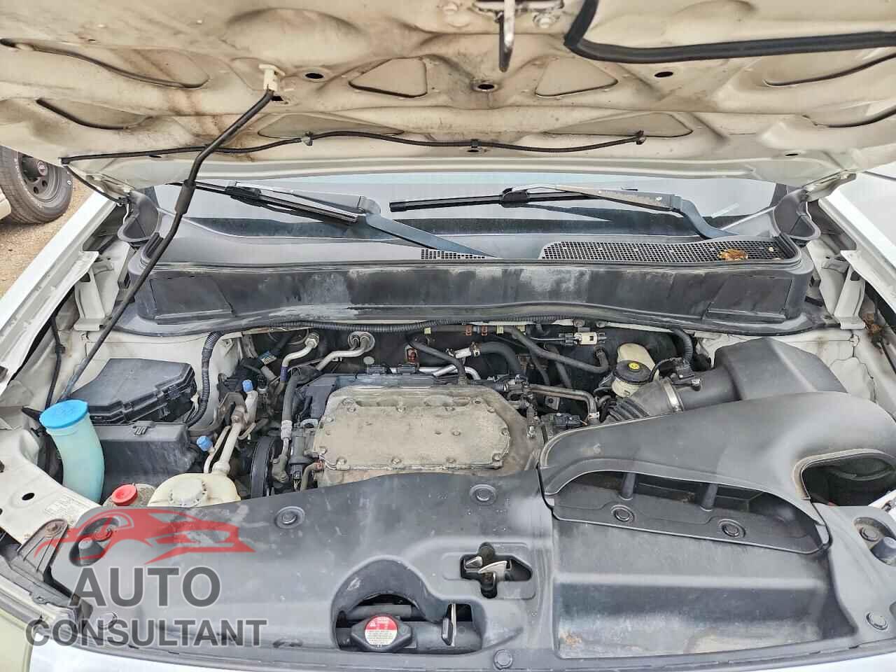 HONDA PILOT 2011 - 5FNYF4H52BB005908