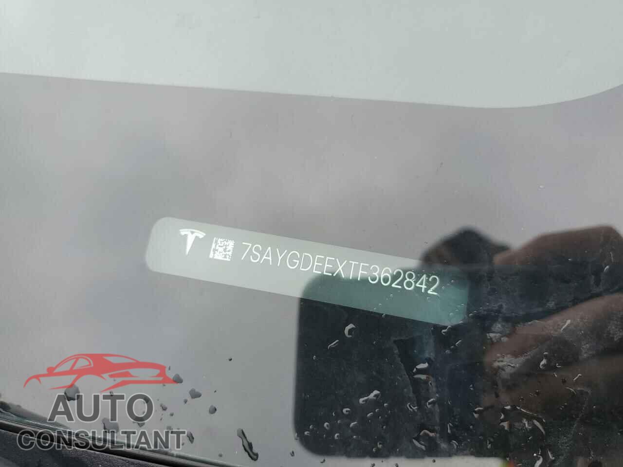 TESLA MODEL Y 2026 - 7SAYGDEEXTF362842
