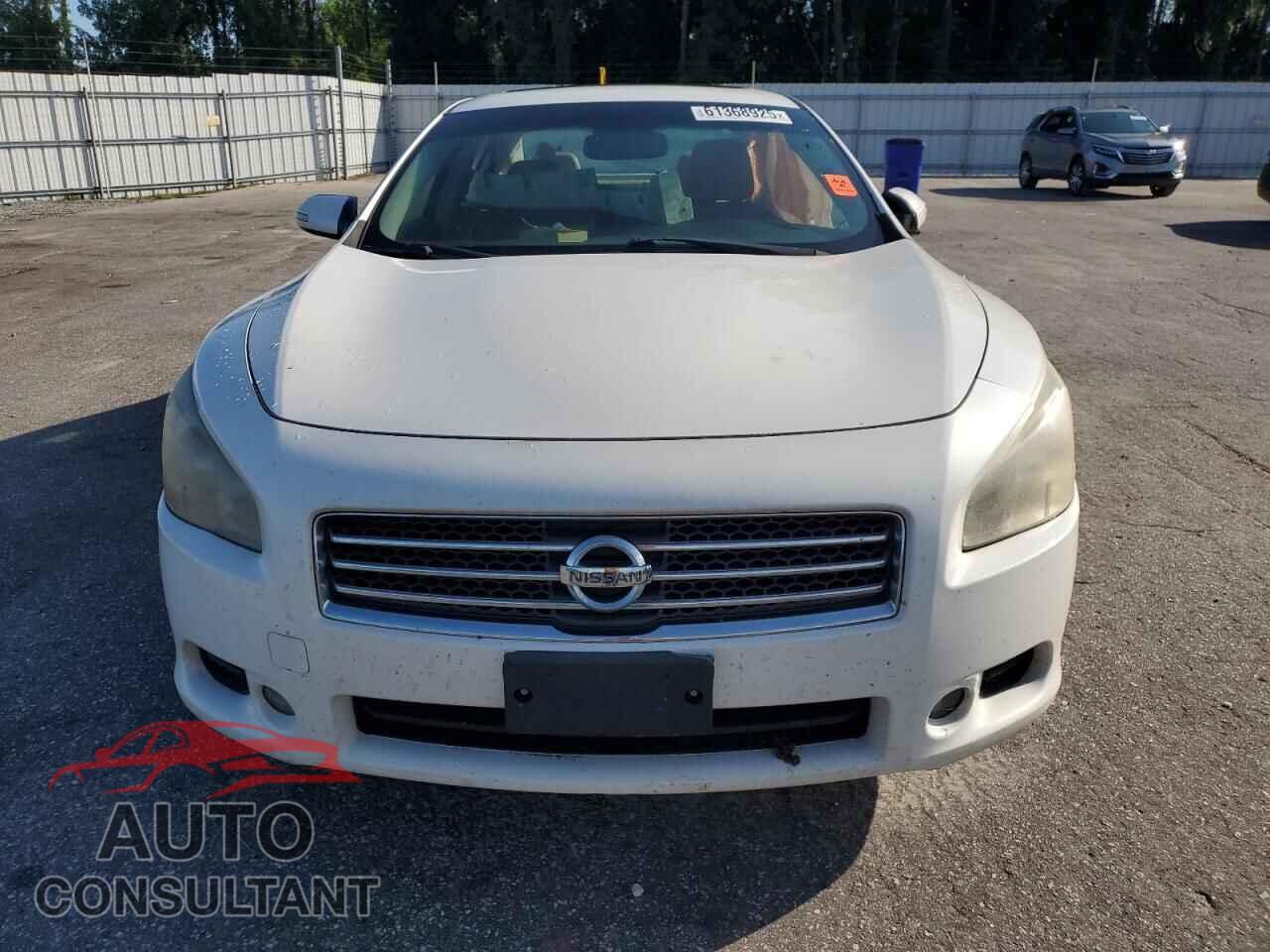 NISSAN MAXIMA 2011 - 1N4AA5AP7BC831237