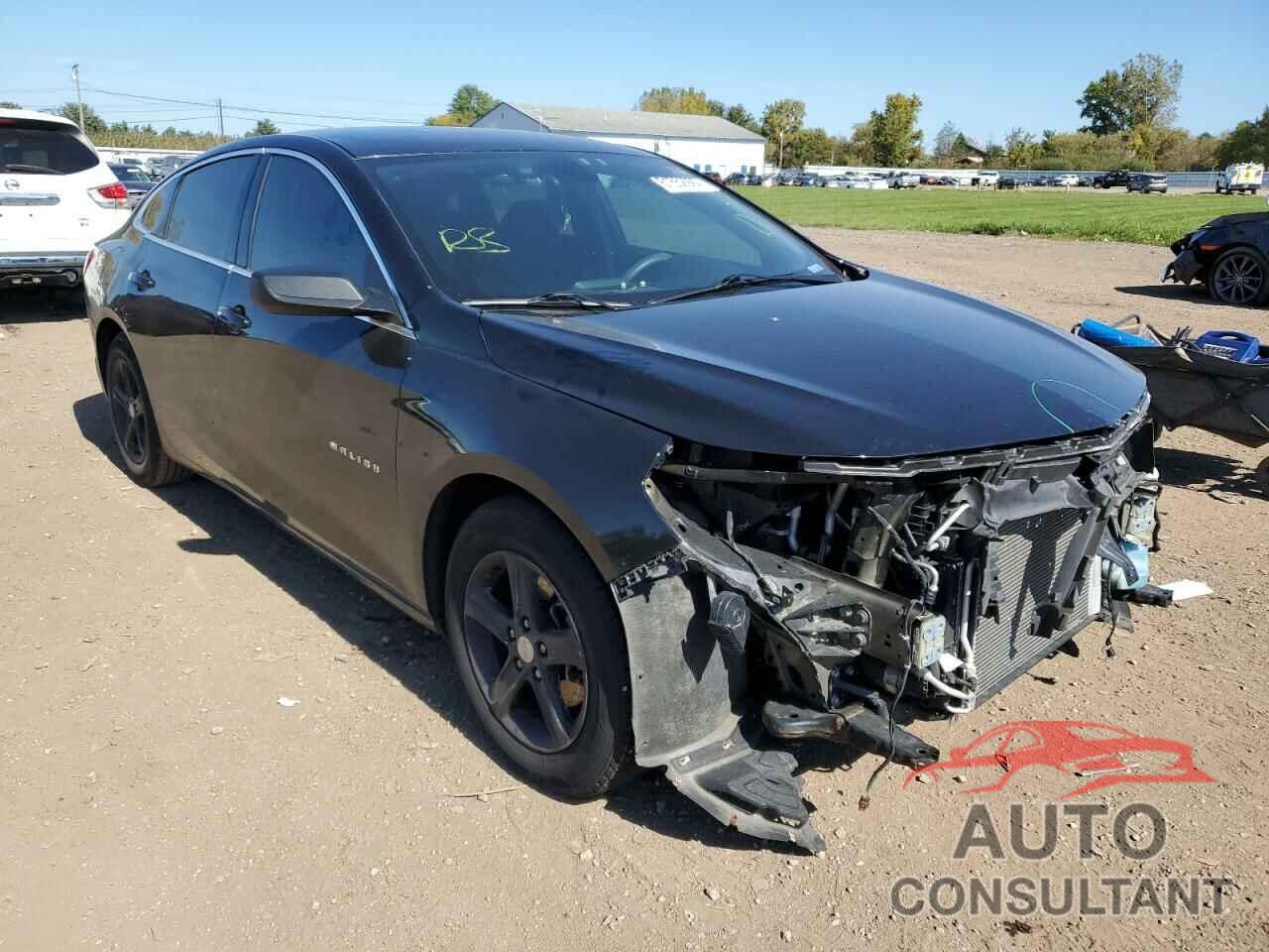 CHEVROLET MALIBU 2019 - 1G1ZB5STXKF129104