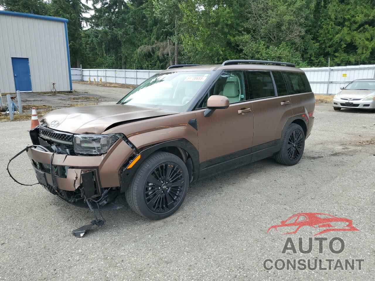 HYUNDAI SANTA FE 2024 - 5NMP5DG18RH007281