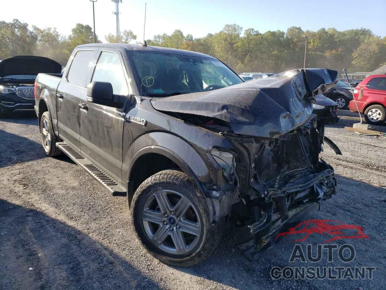 FORD F-150 2019 - 1FTEW1EPXKFA25245
