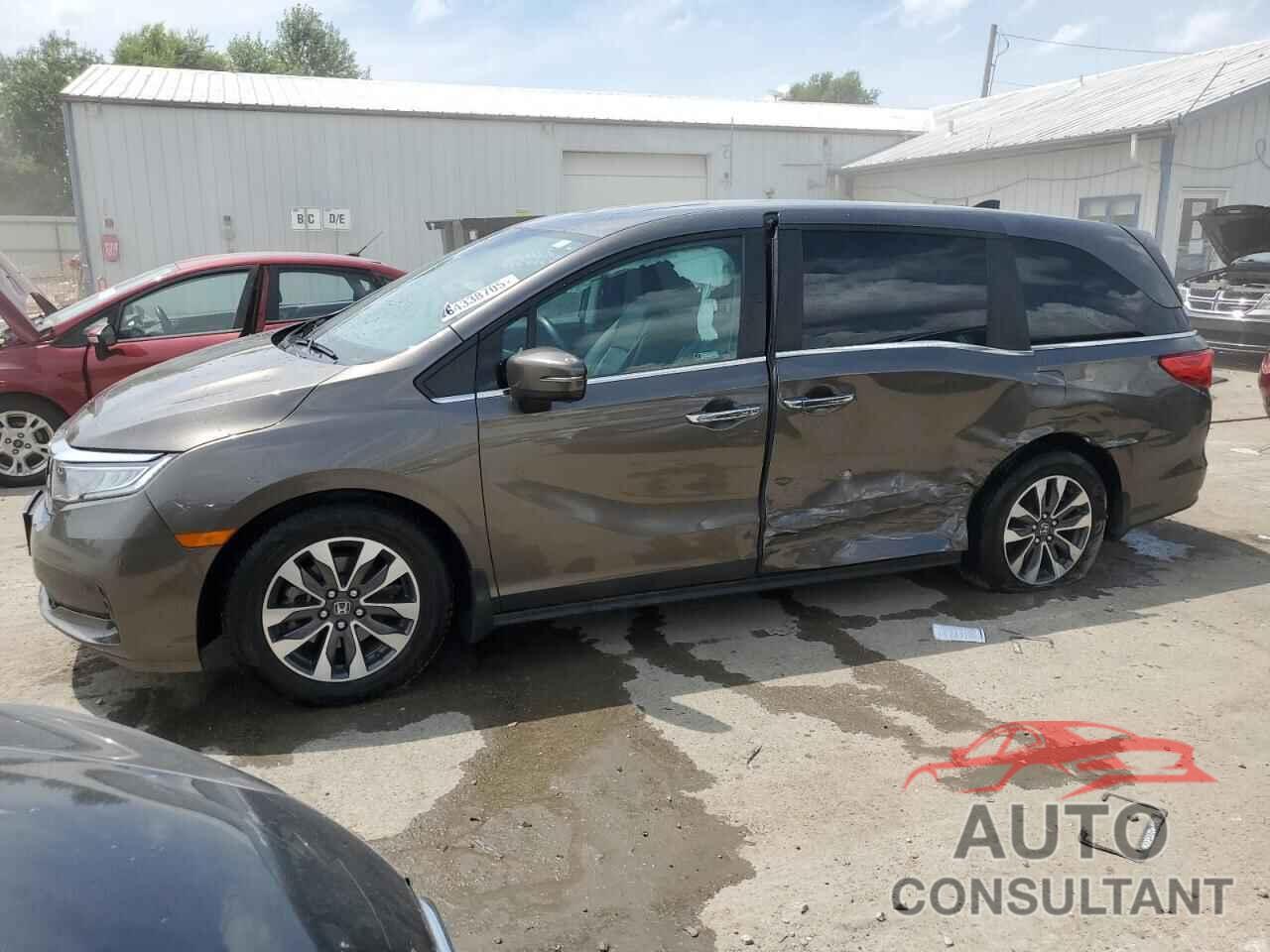 HONDA All Models 2022 - 5FNRL6H7XNB034703