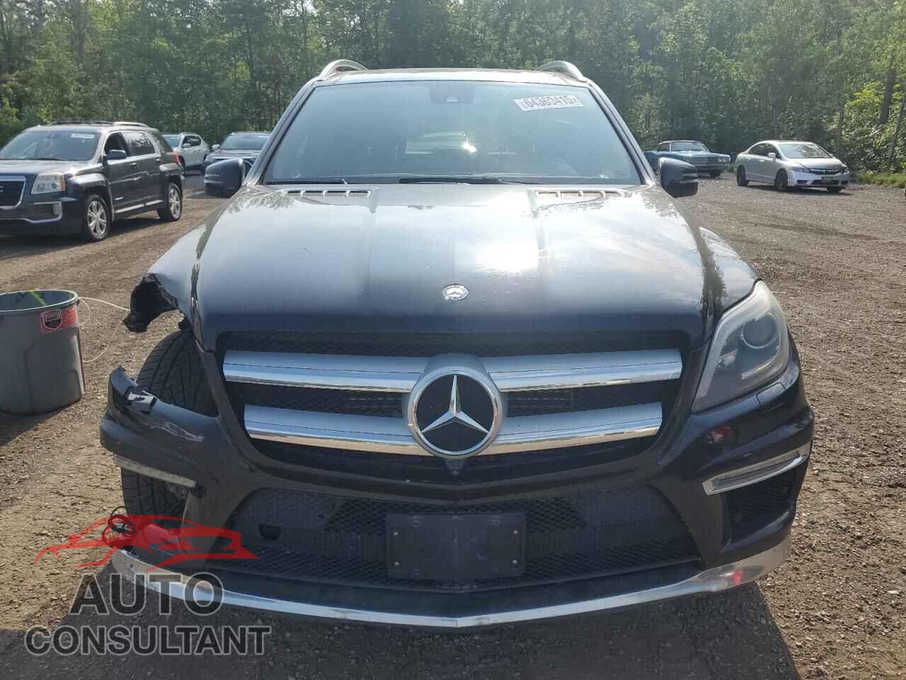 MERCEDES-BENZ GL-CLASS 2014 - 4JGDF2EE4EA289980