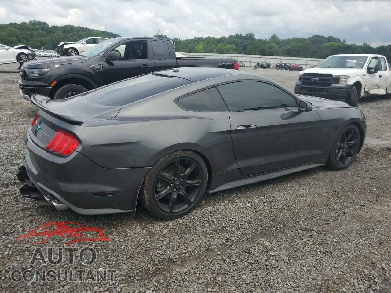 FORD MUSTANG 2019 - 1FA6P8CF3K5116535