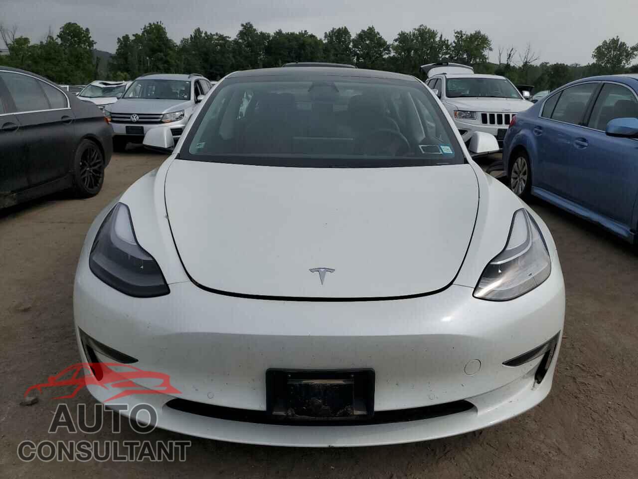TESLA MODEL 3 2021 - 5YJ3E1EAXMF053267