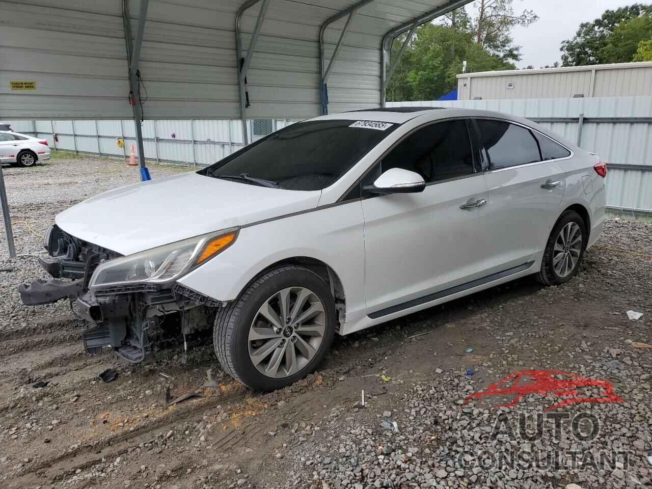 HYUNDAI SONATA 2016 - 5NPE34AF0GH433628