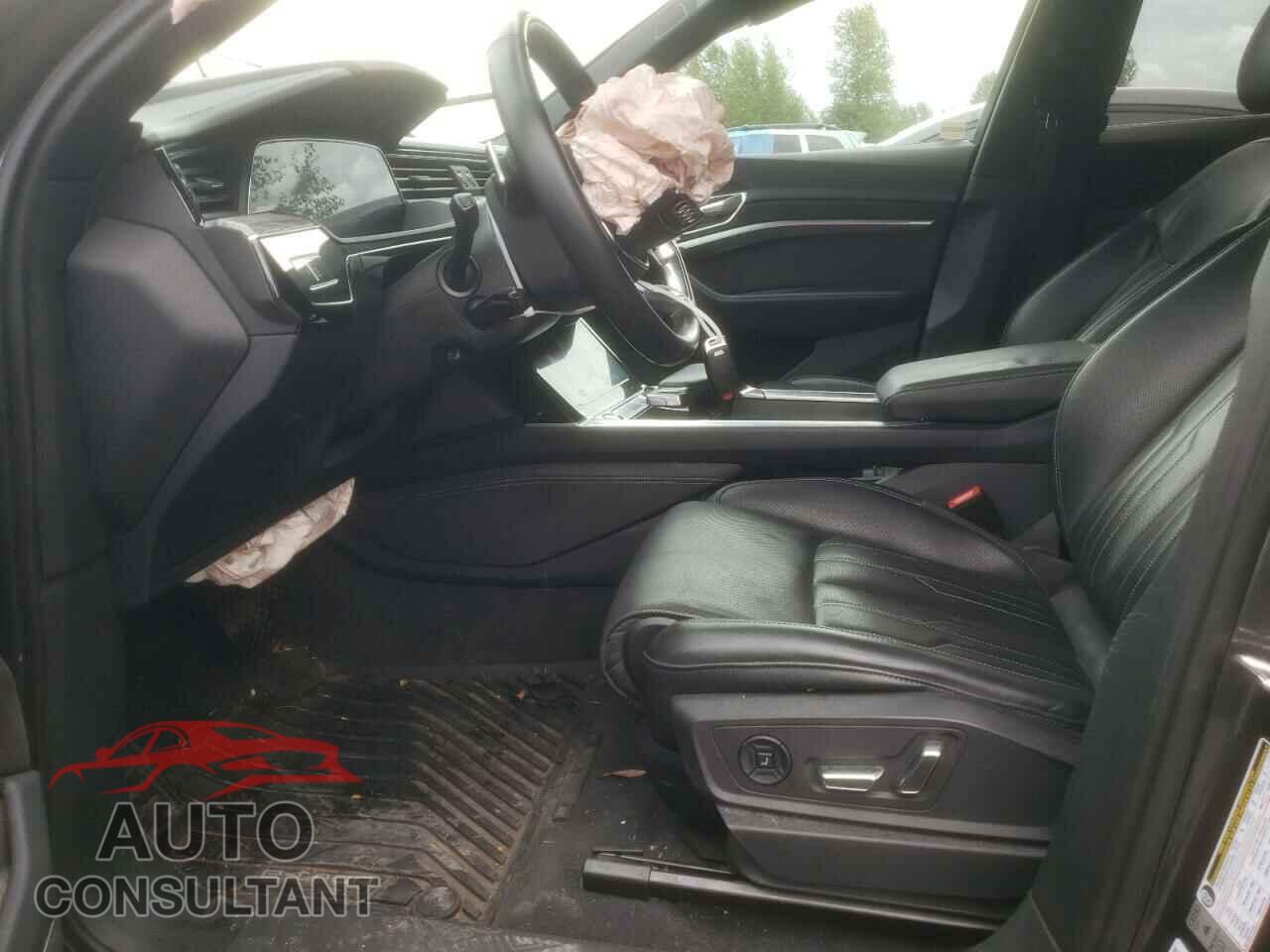 AUDI E-TRON 2019 - WA1VAAGE2KB006376