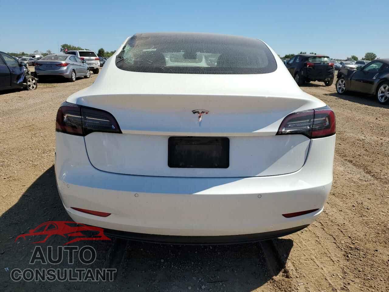 TESLA MODEL 3 2019 - 5YJ3E1EAXKF483622