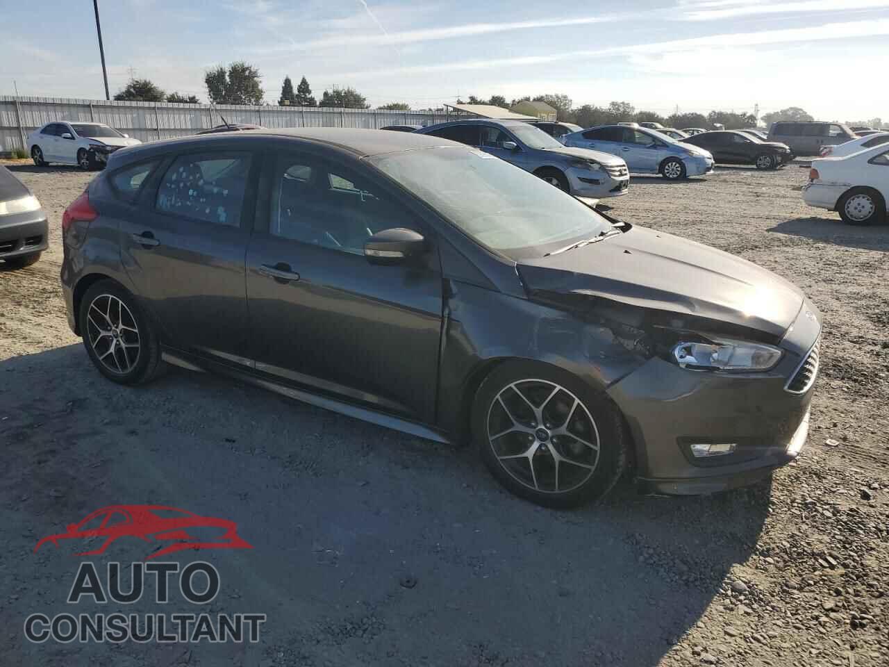 FORD FOCUS 2016 - 1FADP3K29GL203545