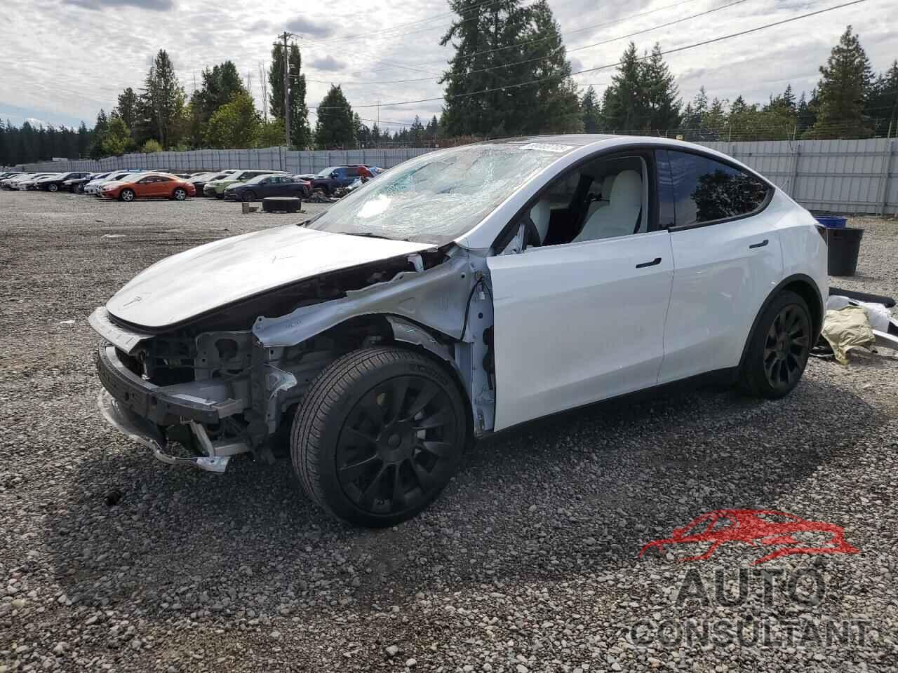 TESLA MODEL Y 2022 - 7SAYGAEE4NF518942