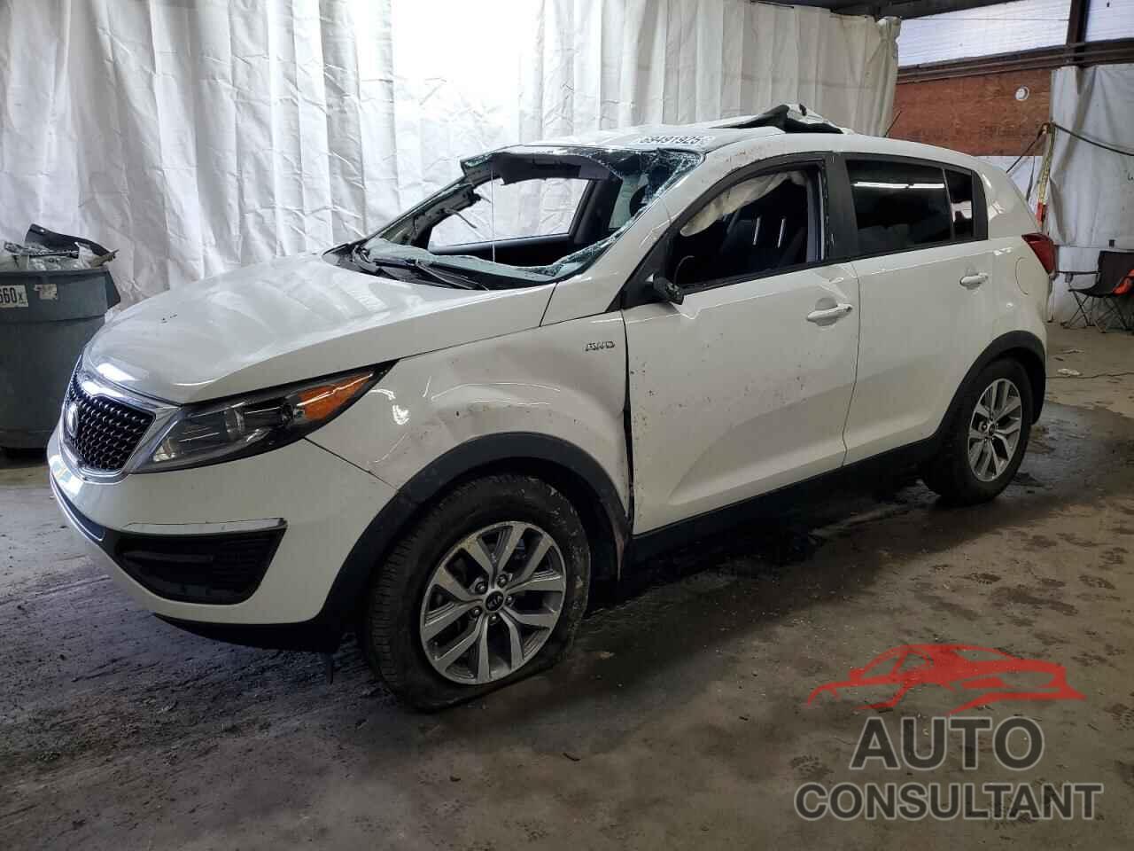KIA SPORTAGE 2016 - KNDPBCAC8G7853072