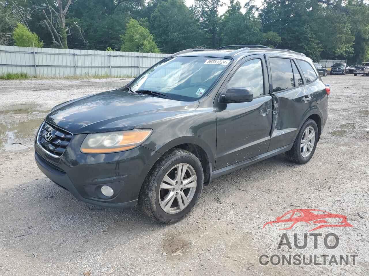 HYUNDAI SANTA FE 2010 - 5NMSK4AGXAH359864