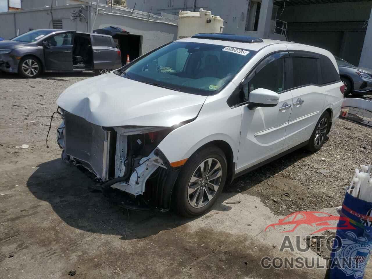 HONDA All Models 2023 - 5FNRL6H68PB025508
