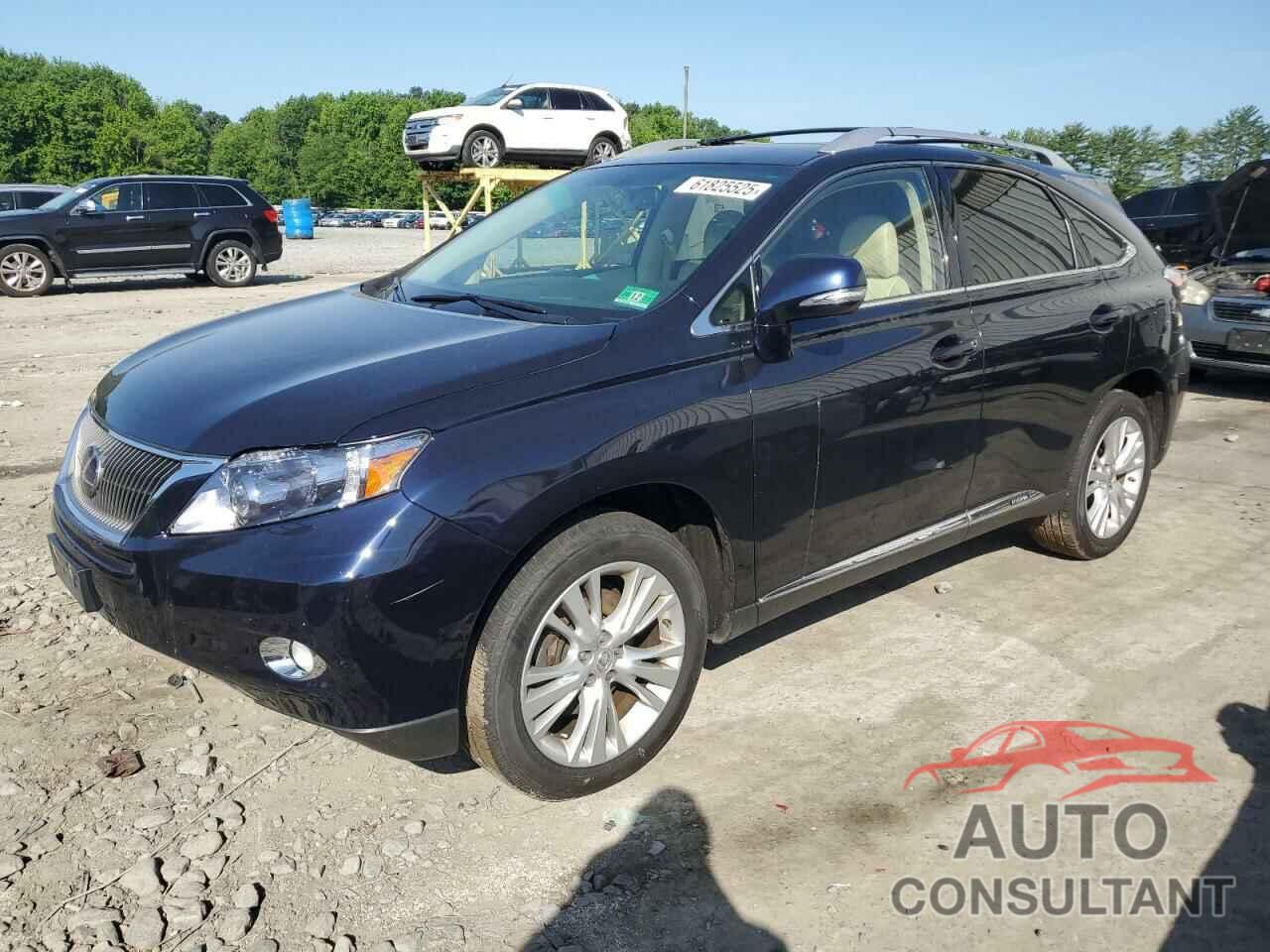 LEXUS RX450 2010 - JTJBC1BA4A2016006