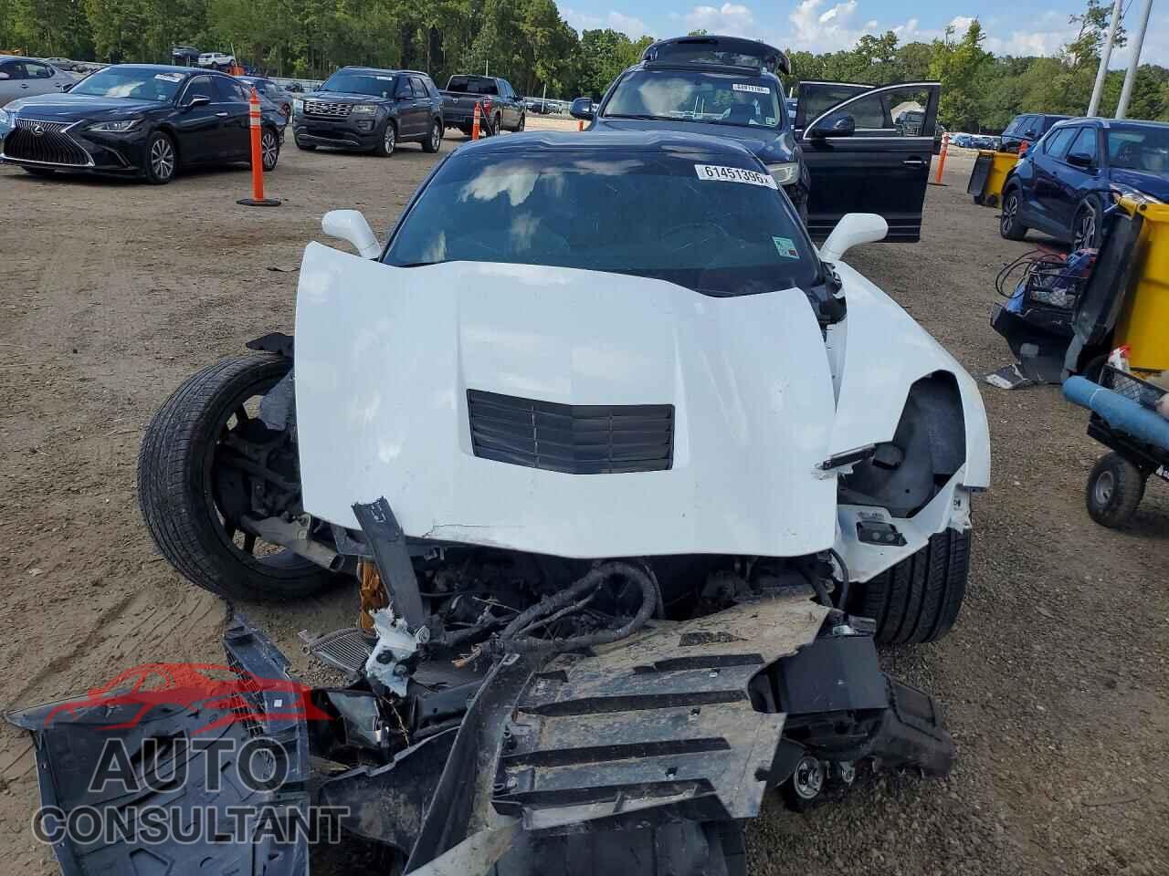 CHEVROLET CORVETTE 2019 - 1G1YB2D71K5106830
