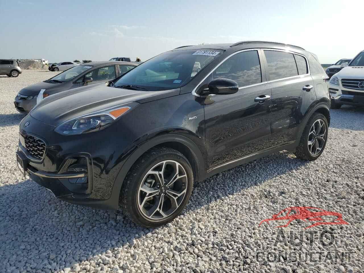 KIA SPORTAGE 2022 - KNDPRCA68N7953885