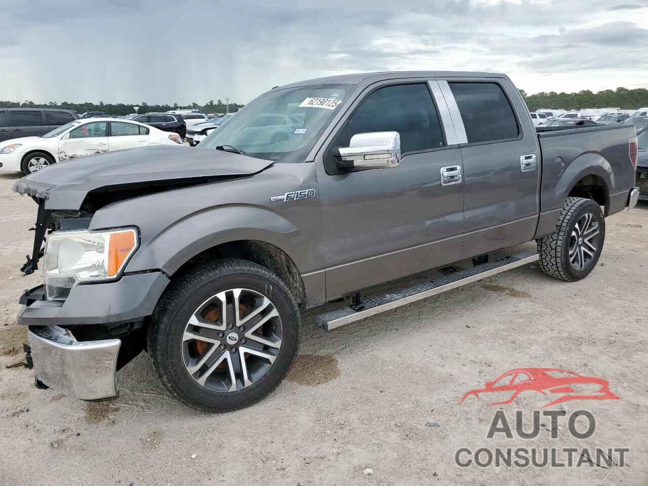 FORD F-150 2010 - 1FTEW1C8XAFC96820