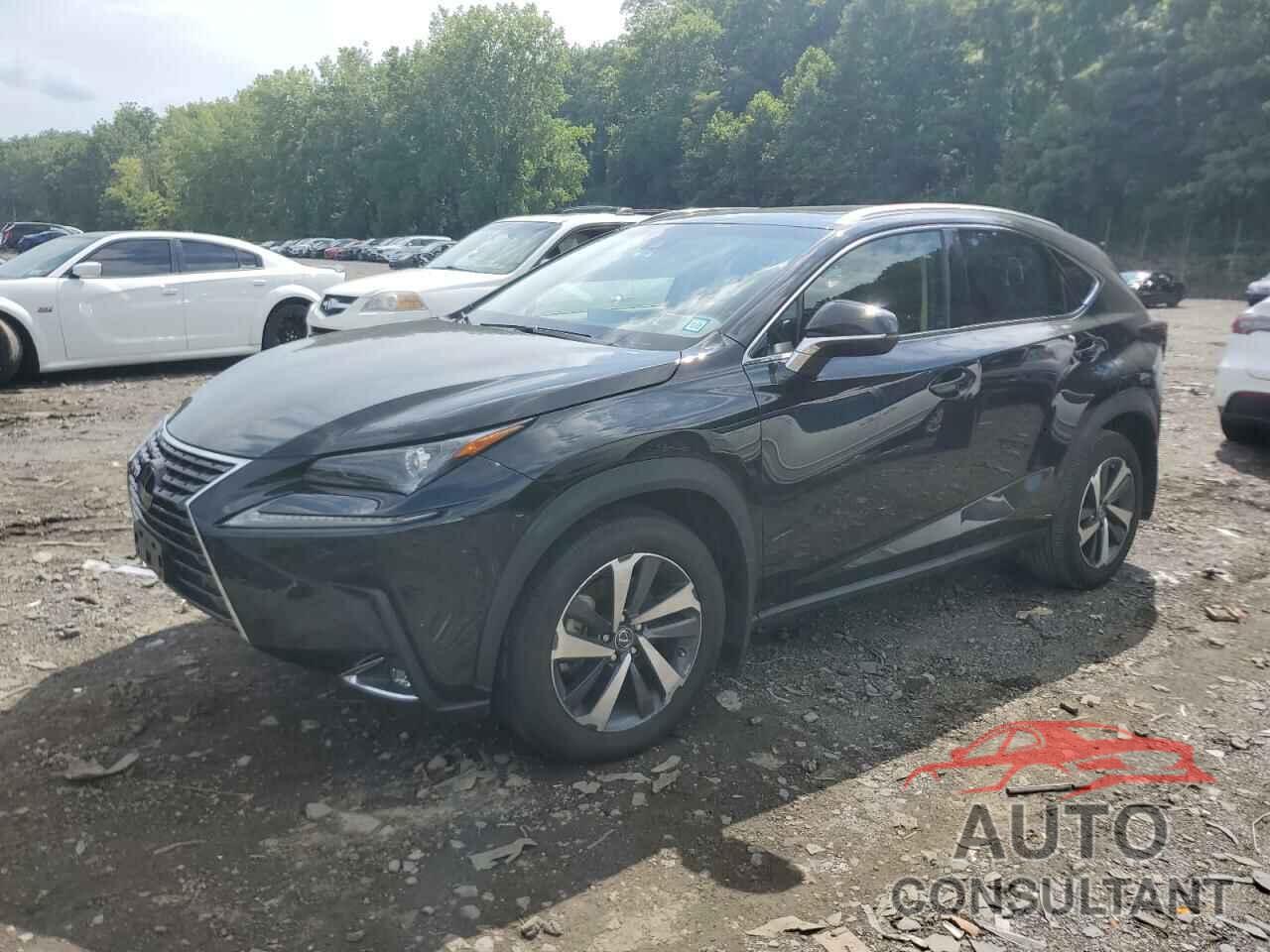 LEXUS NX 2019 - JTJBARBZ1K2202064